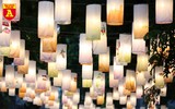 Hàng trăm chiếc đèn lồng trên phố Phùng Hưng trở thành điểm check in của giới trẻ dịp Tết Trung thu